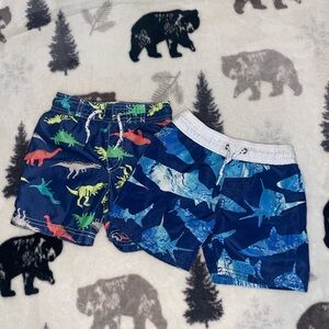 🦈🦖2T Swim Shorts🦖🦈